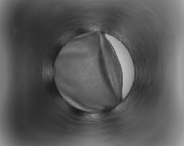 X0000088440479200706121512