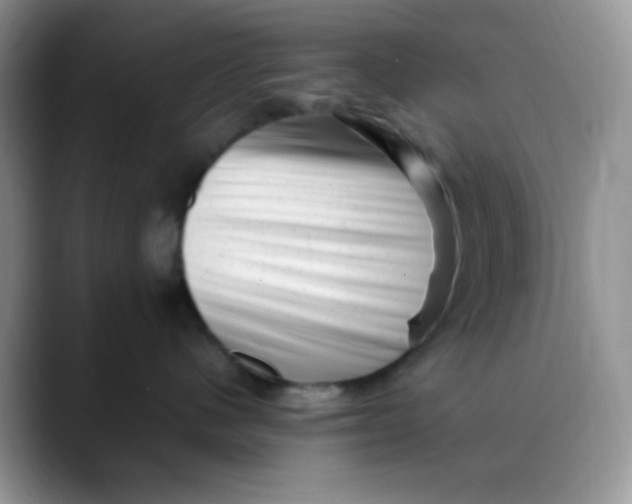 X0000088440480200706121512
