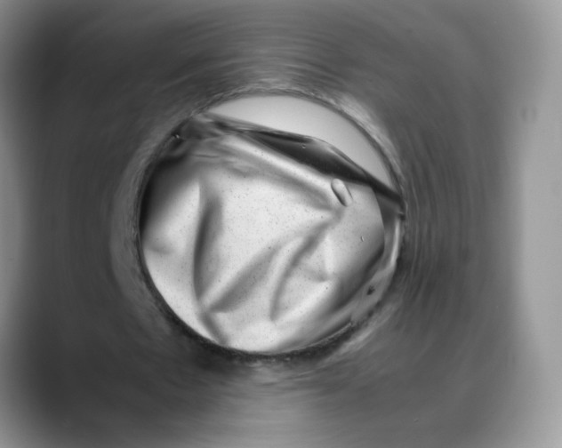 X0000088440481200706121511