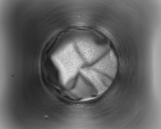 X0000088440482200706121511
