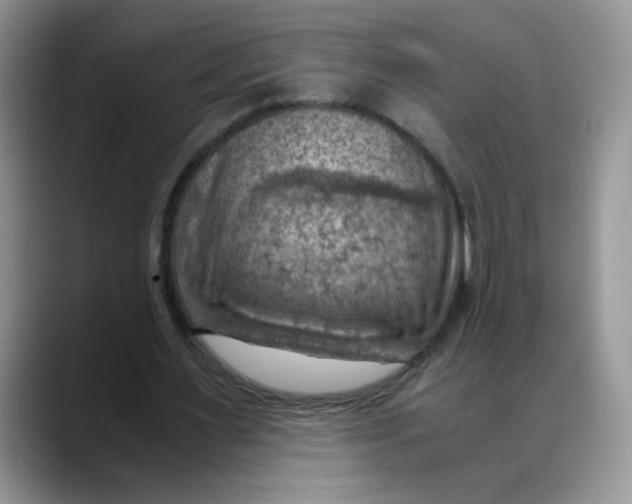 X0000088440483200706121511