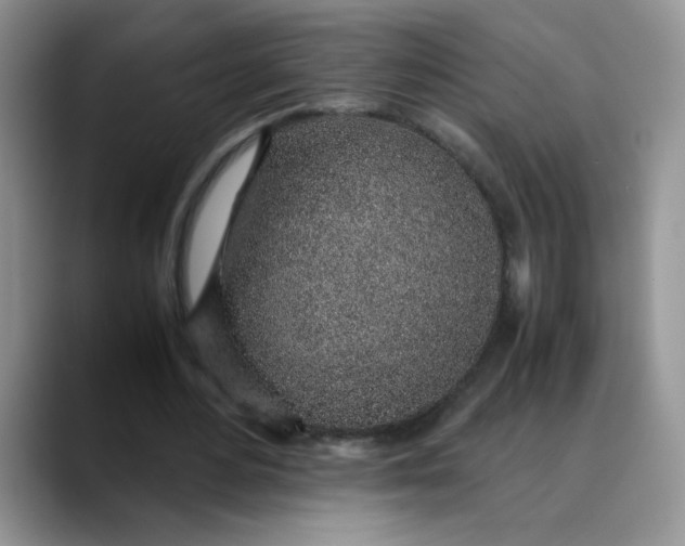 X0000088440484200706121511