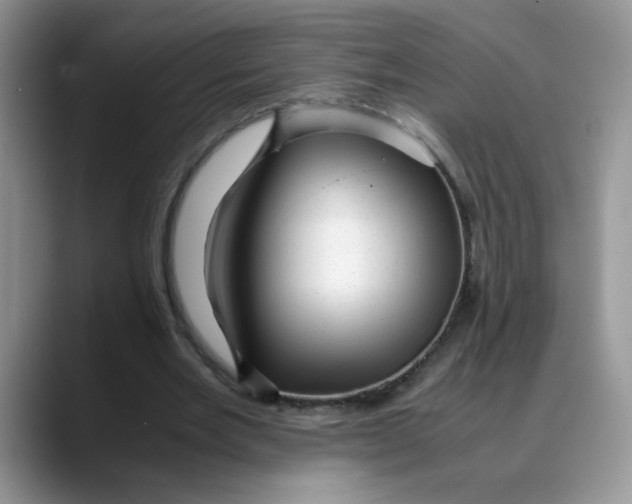X0000088440485200706121511