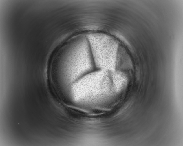 X0000088440486200706121511
