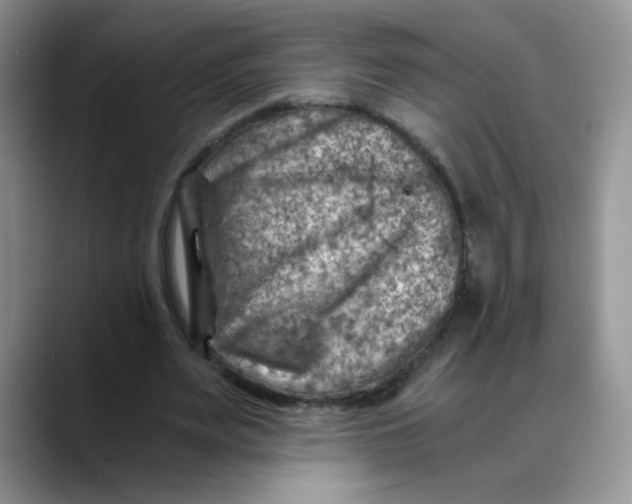 X0000088440487200706121511