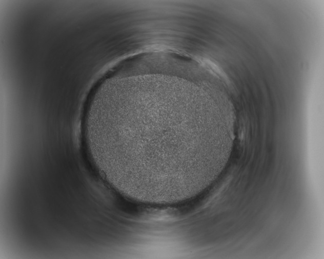 X0000088440488200706121511