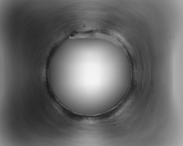 X0000088440489200706121511