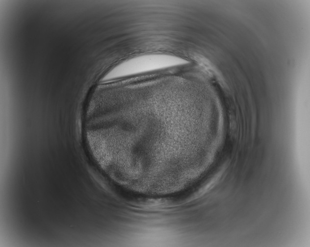 X0000088440493200706121511