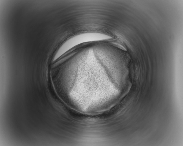 X0000088440494200706121511