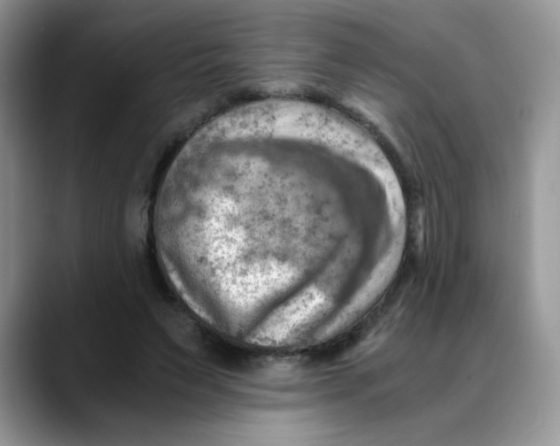 X0000088440495200706121511