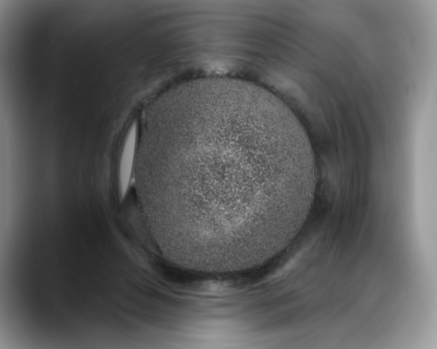 X0000088440496200706121511