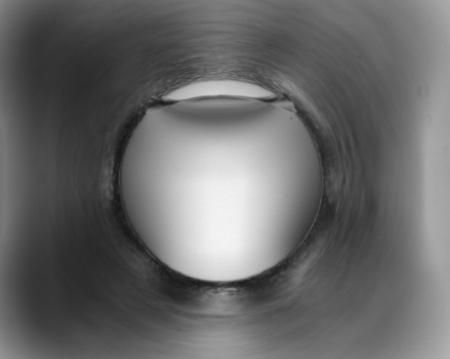 X0000088440497200706121511