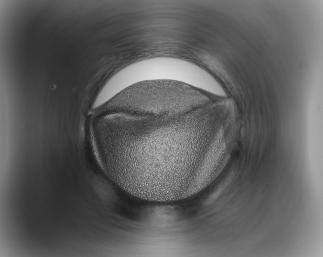 X0000088440501200706121511