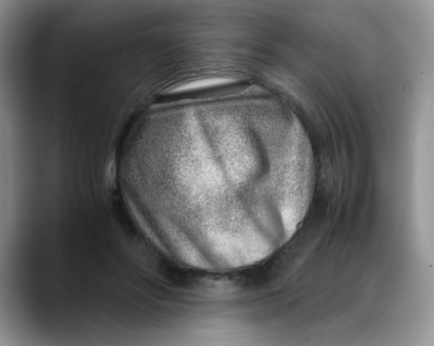 X0000088440502200706121511