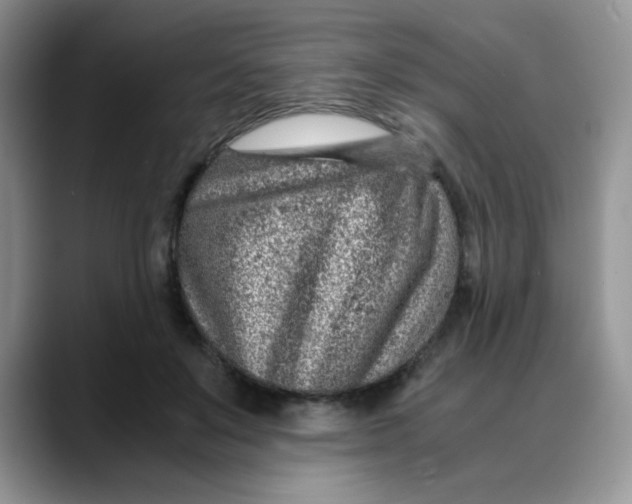 X0000088440503200706121511