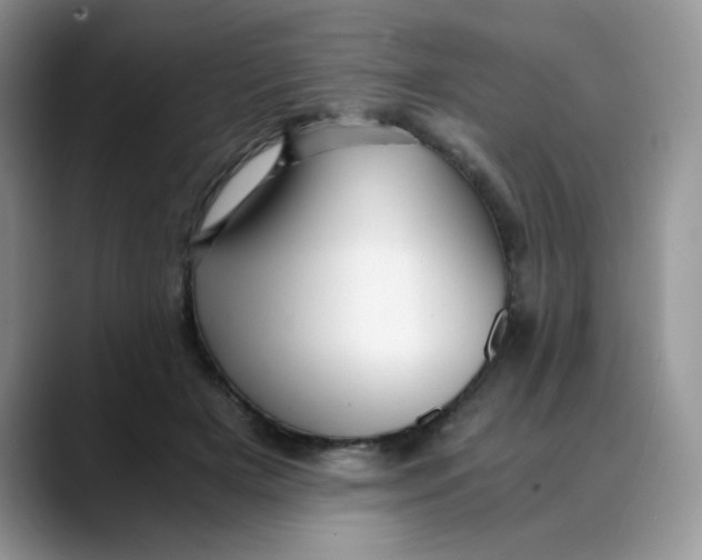 X0000088440505200706121511