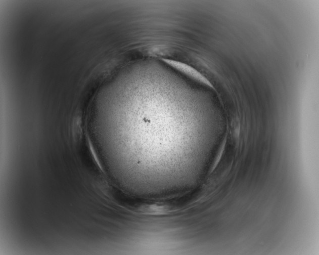 X0000088440506200706121511