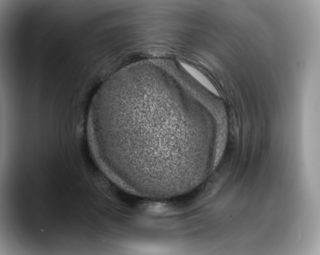 X0000088440507200706121511