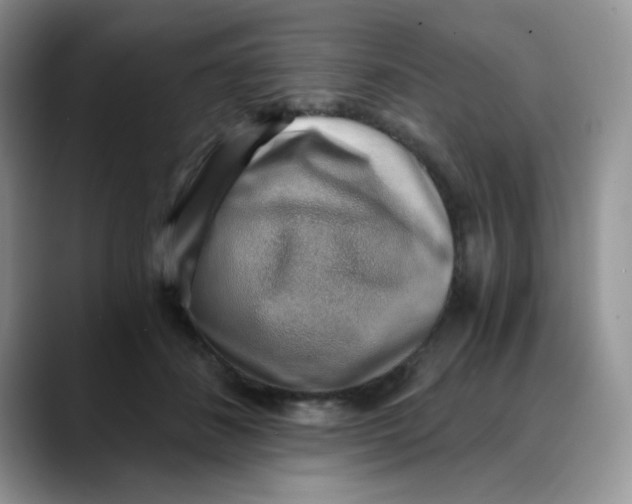 X0000088440508200706121511
