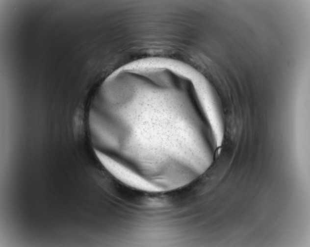X0000088440510200706121511