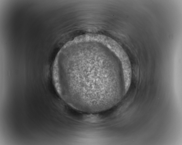 X0000088440511200706121511