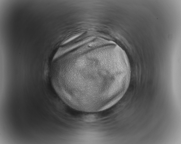 X0000088440513200706121511