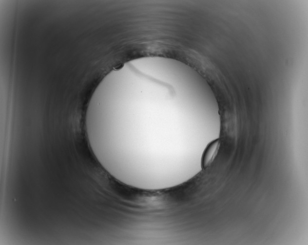 X0000088440514200706121511