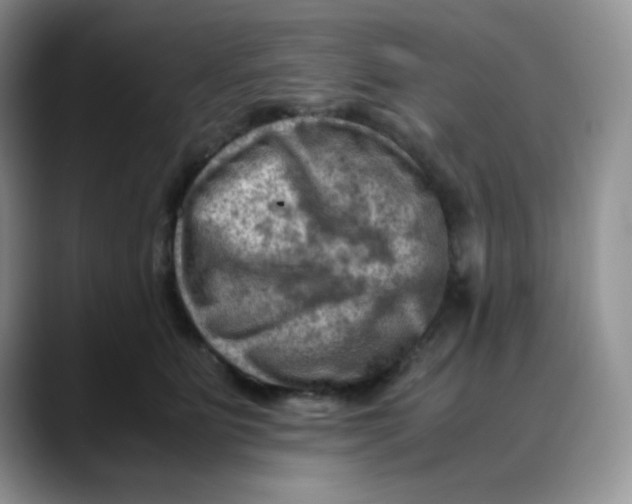 X0000088440515200706121511
