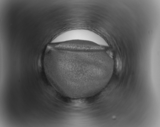 X0000088440516200706121511
