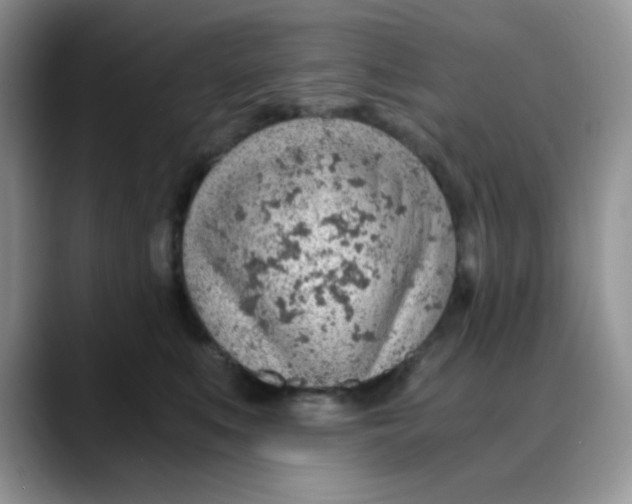 X0000088440519200706121511