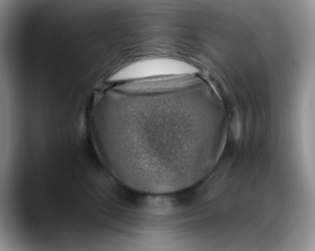 X0000088440520200706121511