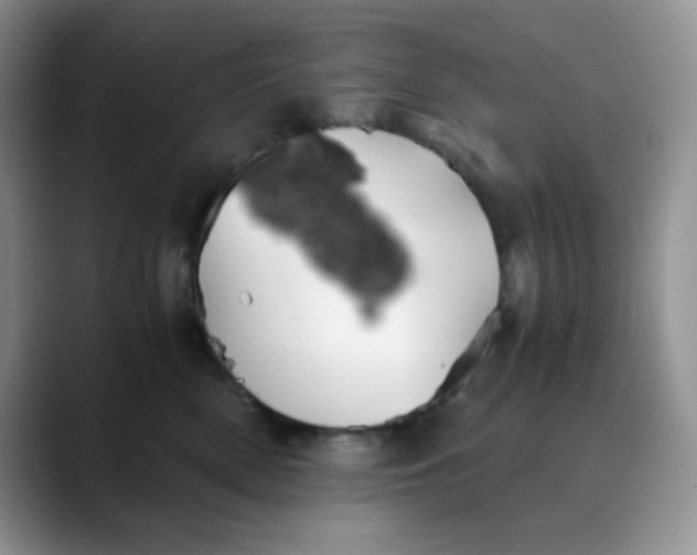 X0000088440522200706121511