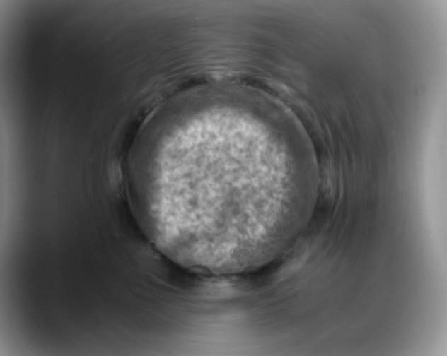 X0000088440523200706121511