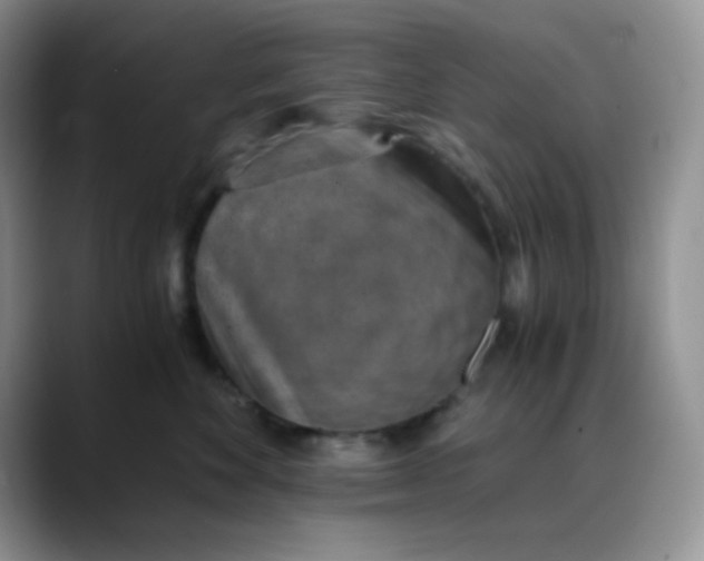 X0000088440524200706121511