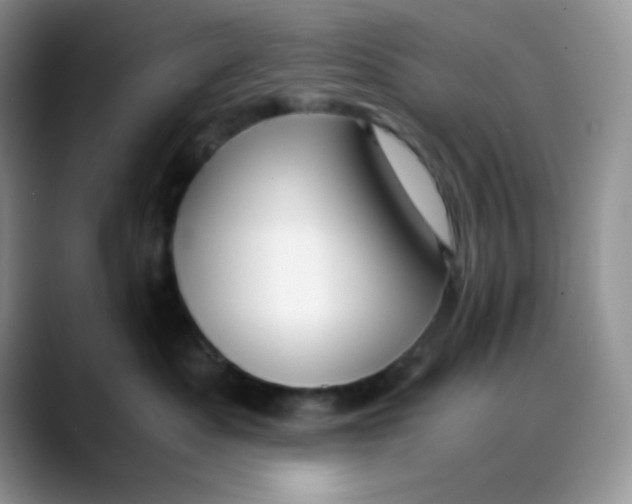 X0000088440525200706121511