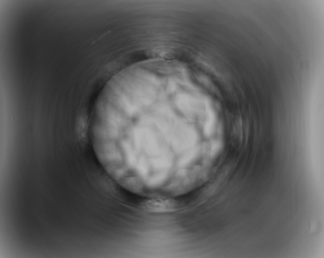 X0000088440526200706121511