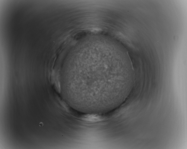 X0000088440528200706121511