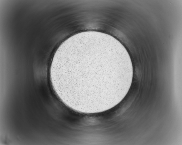 X0000088440534200706121510