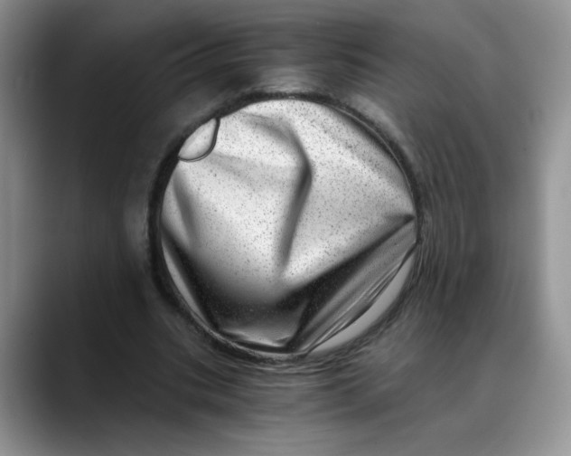 X0000088440535200706121510