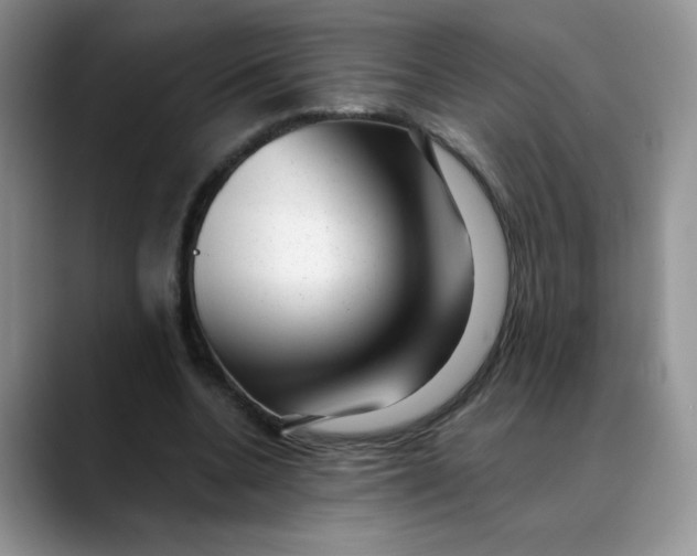 X0000088440536200706121510