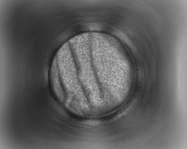 X0000088440537200706121510