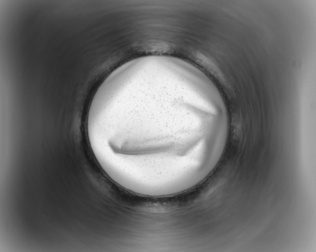 X0000088440538200706121510