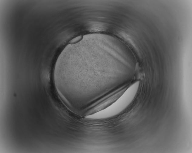 X0000088440539200706121510