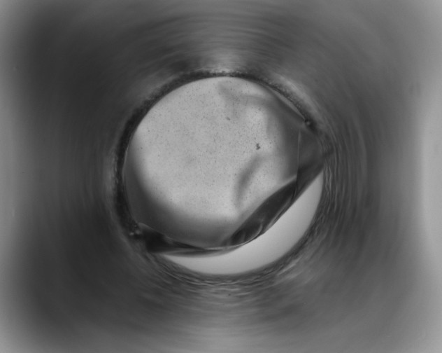 X0000088440540200706121510