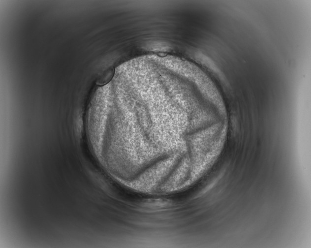 X0000088440541200706121510