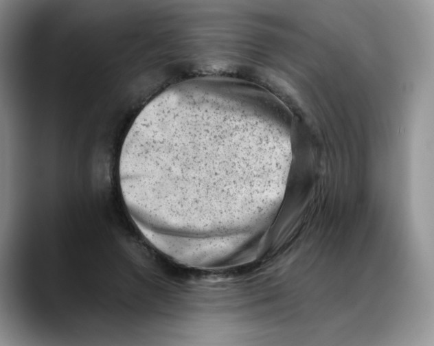 X0000088440546200706121510
