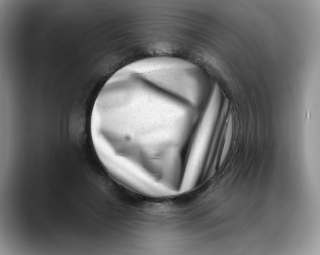 X0000088440548200706121511