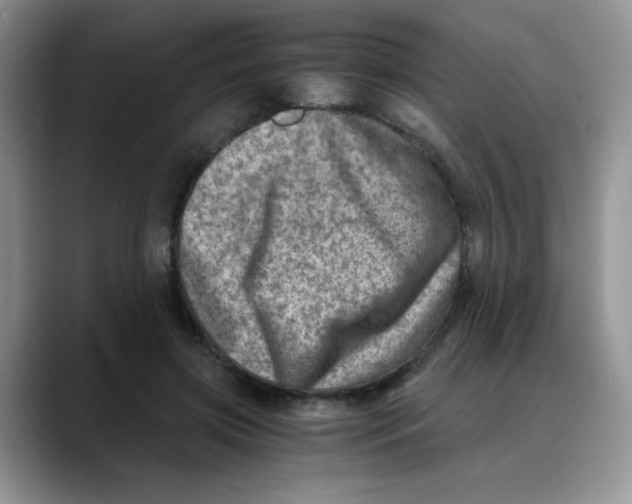 X0000088440549200706121511