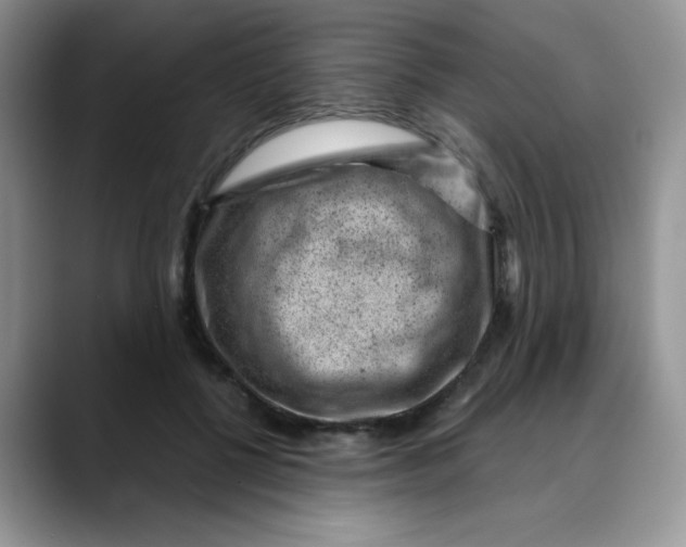 X0000088440552200706121511