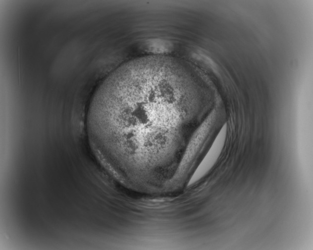 X0000088440553200706121511